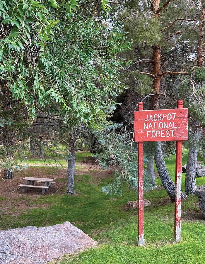 jackpot national forest next to cactus petes resort casino in jackpot nevada