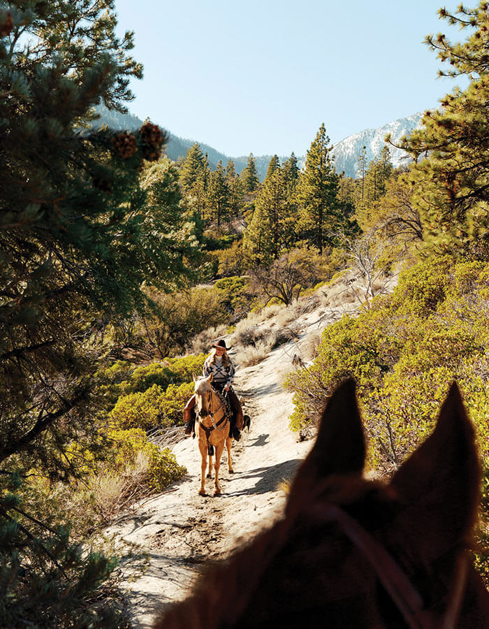 jordan bader and horse buzz of bader ranch trail co guided horseback rides in gardnerville nv