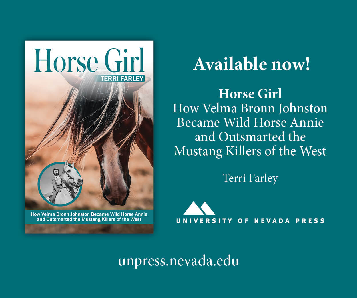 book ad with a book cover and a picture of a horse