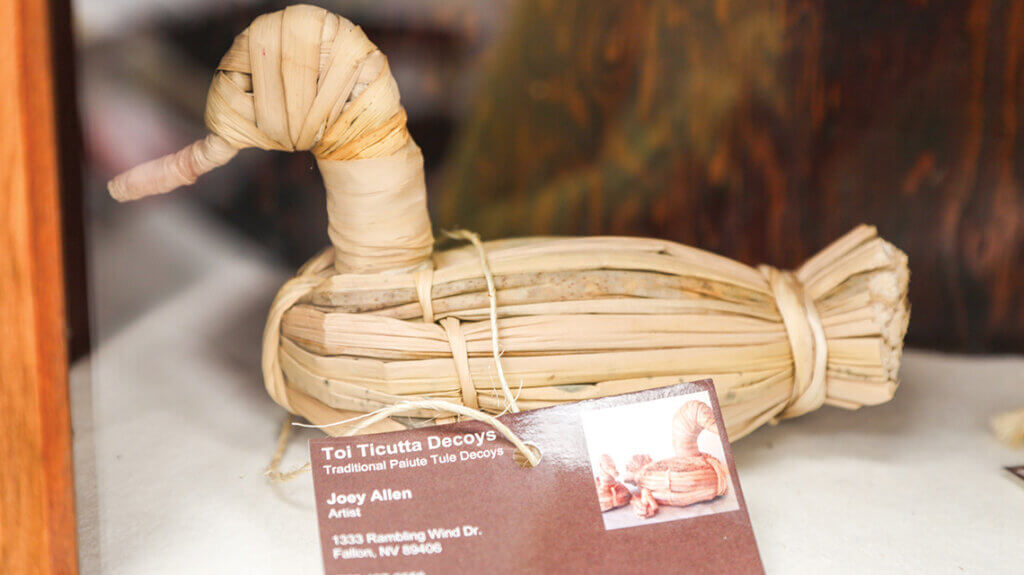 A tule duck
