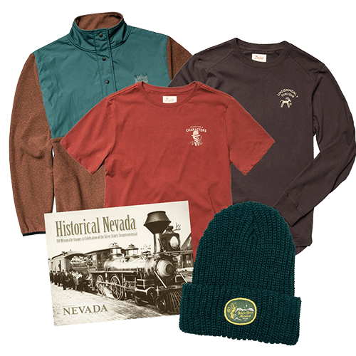 collage of prizes for the nevada day passport