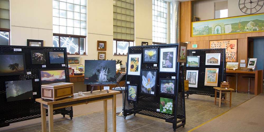 ely art bank