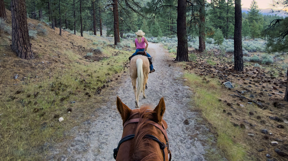guided horseback riding tour with bader ranch trail co in gardnerville carson valley nevada